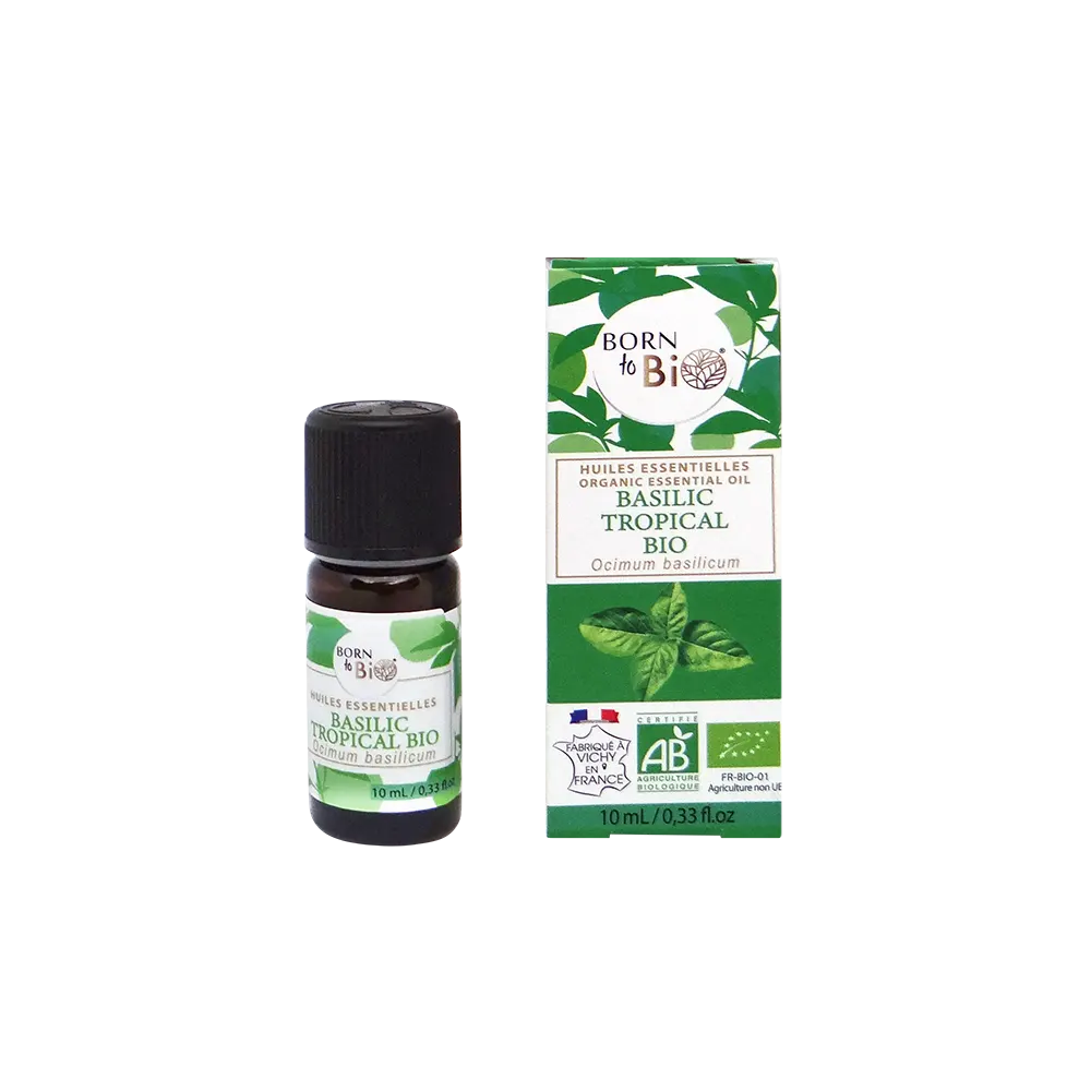 BORN to Bio | Organic Tropical Basil Essential Oil